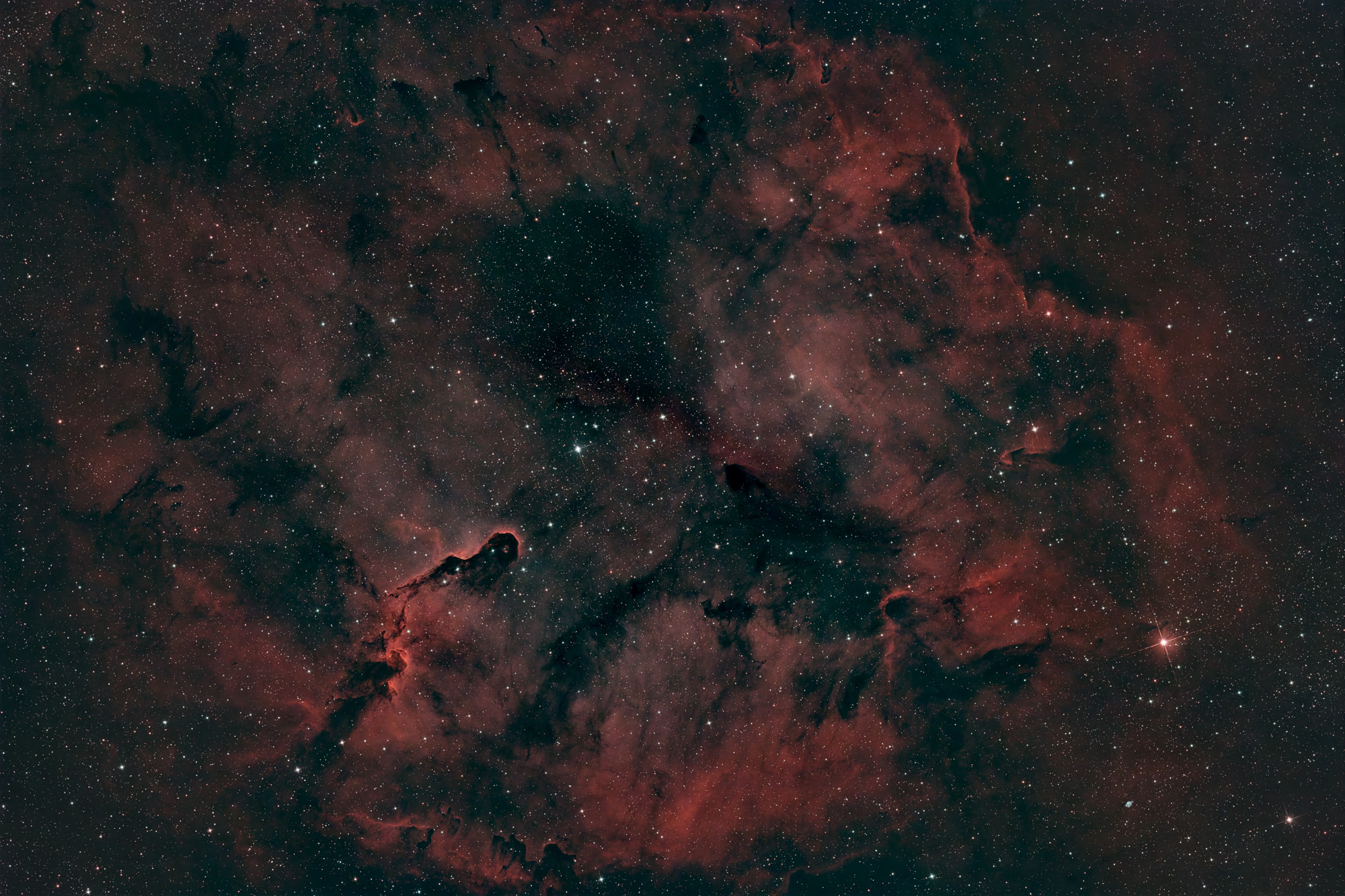 Der Elefantenrüssel Nebel IC 1396A ist eine hell berandete Globule, also eine Ansammlung von interstellarem Gas und Staub im Sternbild Kepheus. Er ist etwa 2400 Lichtjahre von der Erde entfernt.